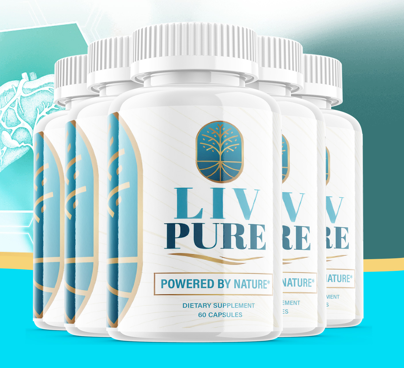 Livpure supplement